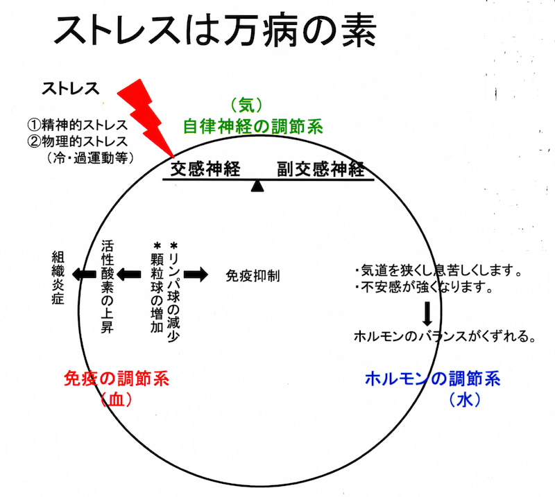 背骨周りの不調ー冷え